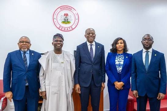 Cardoso Briefs Senate on Economy, Reaffirms Commitment to Single-Digit Inflation